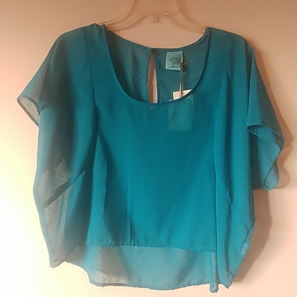 H.I.P. sheer turquoise top